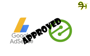 fix google and Ezoic violations